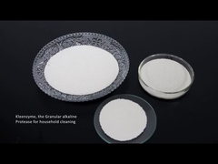 Detergent enzym proteaza celulaza amylaza