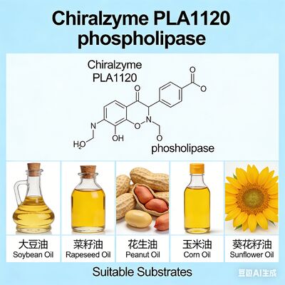 Dobra cena. Chiralzyme PLA1120 | Wysokowydajna fosfolipaza A1 do odgumowywania oleju | KDN w Internecie