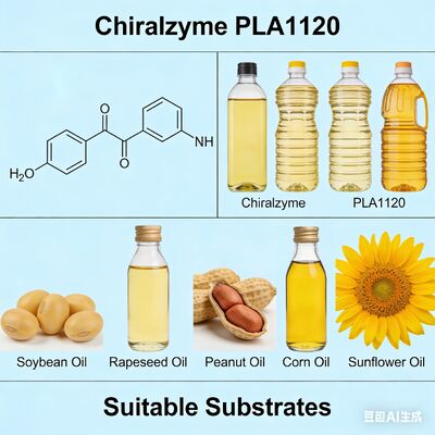 Dobra cena. Chiralzyme PLA1120 | Spożywczy enzym do opłacalnej rafinacji olejów w Internecie