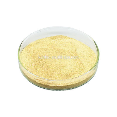 Dobra cena. Enzym lipazy wodnej oleju Zastosowanie przemysłowe Biokataliza lipidów Zwiększenie strawności tłuszczu w Internecie