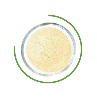 Dobra cena. Trichoderma Reesei Cellulase Proszek do prania Mikrobiologiczne enzymy w przemyśle tekstylnym w Internecie