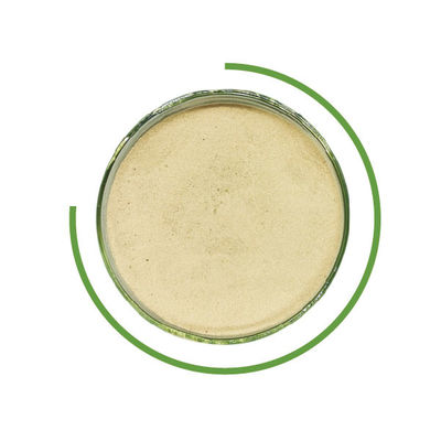 Dobra cena. Pranie dżinsów Ścieranie z celulazy Enzym neutralny enzym Cellulase Jeans w granulkach w Internecie