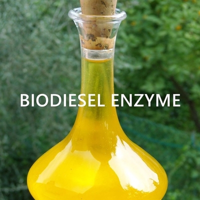 Dobra cena. Inżynieria enzymu lipazy do zrównoważonych zastosowań w bioenergii w Internecie