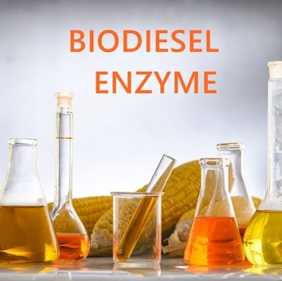 Dobra cena. Wysokiej rozpuszczalności kwas tłuszczowy esterazy enzym do zastosowań farmaceutycznych w Internecie