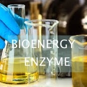 Dobra cena. Katalizowana lipazą ISO konwersja zużytego oleju kuchennego na biodiesel w Internecie