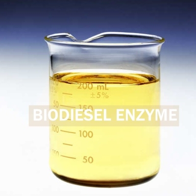 Dobra cena. Produkowane biosurfaktanty enzym lipazy dla lepszego odzyskiwania biodiesla w Internecie