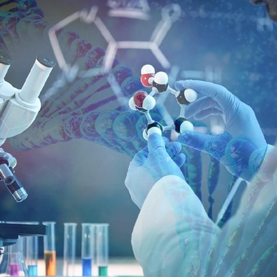 Dobra cena. Wyprzedź konkurencję: wykorzystanie pełnego potencjału Candida Antarctica Lipase B w Internecie