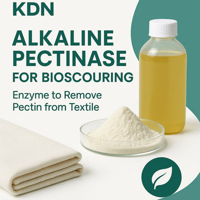 Dobra cena. Wydajny, ekonomiczny, przyjazny dla środowiska, Twój partner w biochronie w zakresie pektynazy alkalicznej w Internecie