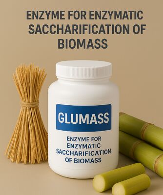 Dobra cena. Wysokowydajny enzym do całkowitego scukrzania biomasy w Internecie