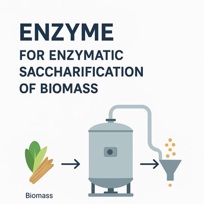 Dobra cena. Enzym dostarczający alkohol, zapewniający degradację alkoholu i zwiększoną aktywność katalityczną dla procesów biotechnologicznych w Internecie